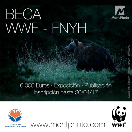 MontPhoto convoca la Beca WWF - Fundacin Naturaleza y Hombre